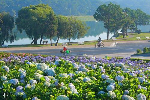 kham pha da lat xu so suong mu xu so mong mo 63981e8dda3ab - An Huy Booking