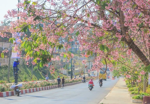 kham pha da lat xu so suong mu xu so mong mo 63981e8e29010 - An Huy Booking