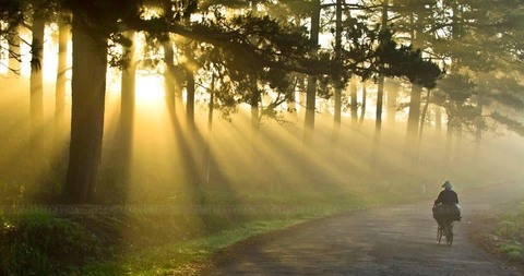 kham pha da lat xu so suong mu xu so mong mo 63981e8e89854 - An Huy Booking