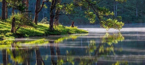 kham pha da lat xu so suong mu xu so mong mo 63981e8ed30d7 - An Huy Booking