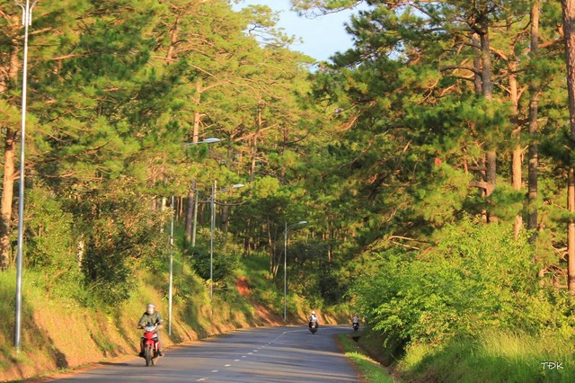 kham pha da lat xu so suong mu xu so mong mo 63981e8f2cc7a - An Huy Booking