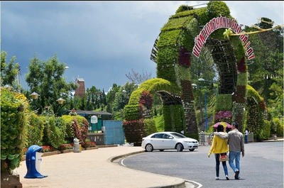 kham pha da lat xu so suong mu xu so mong mo 63981e8f8b12b - An Huy Booking