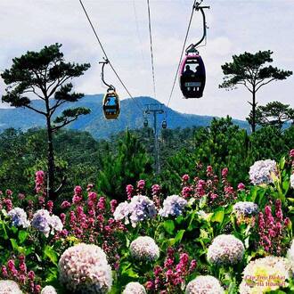 kham pha da lat xu so suong mu xu so mong mo 63981e929ff7a - An Huy Booking