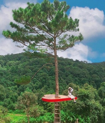 kham pha da lat xu so suong mu xu so mong mo 63981e95a8d84 - An Huy Booking