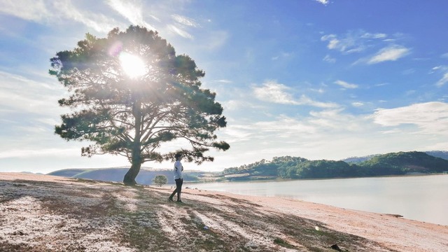 kham pha da lat xu so suong mu xu so mong mo 63981e96c58e3 - An Huy Booking