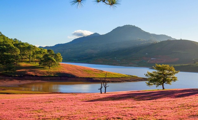 kham pha da lat xu so suong mu xu so mong mo 63981e9a1b044 - An Huy Booking