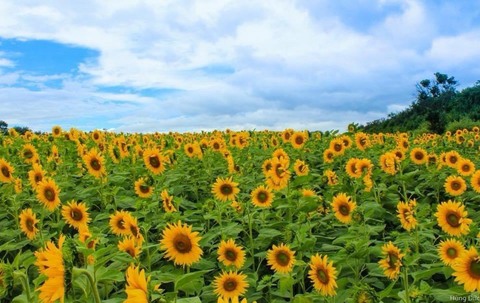 kham pha da lat xu so suong mu xu so mong mo 63981e9a72f1a - An Huy Booking